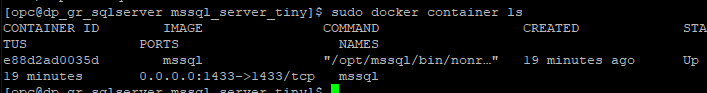 Πώς κάνουμε εγκατάσταση SQL Server σε Linux μέσω Docker