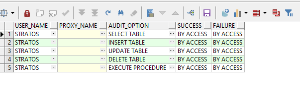 How we enable auditing in Oracle Database