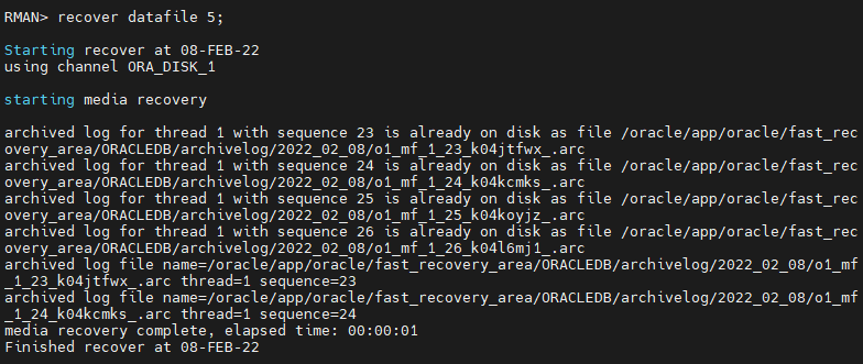 Πώς επαναφέρουμε datafiles ενώ βρίσκεται σε λειτουργία η Oracle Database